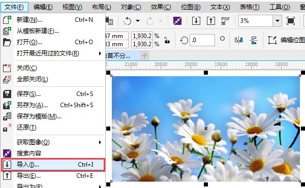 CorelDRAW去除复杂背景并变成矢量图操作步骤