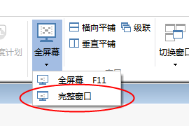 完整窗口