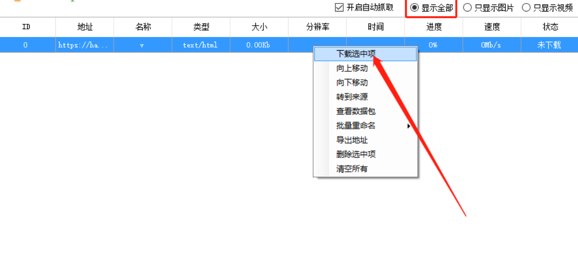 马赛克视频下载助手下载网页视频的操作方法