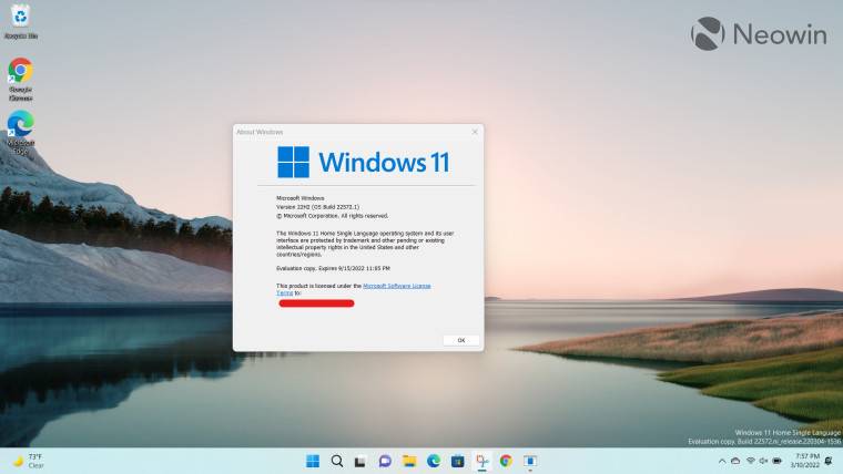 如何在 Windows 11 开发频道中启用文件资源管理器选项卡