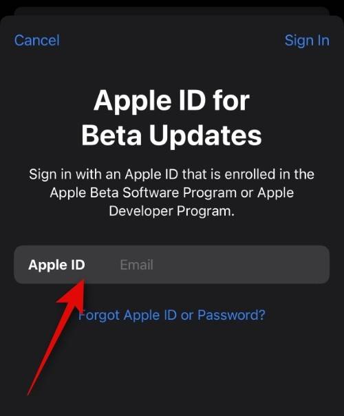 如何在 iOS beta 更新中使用不同的 Apple ID？