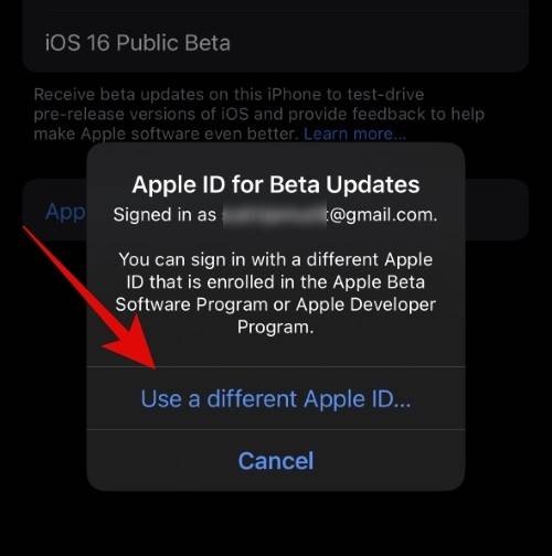 如何在 iOS beta 更新中使用不同的 Apple ID？