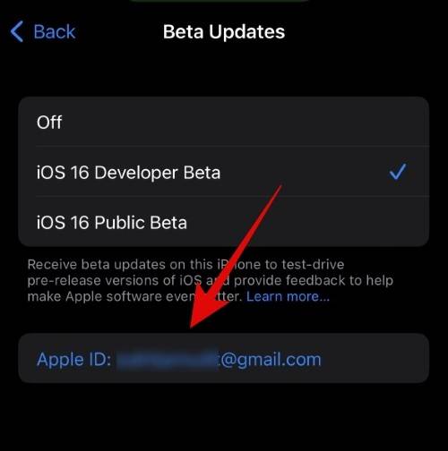 如何在 iOS beta 更新中使用不同的 Apple ID？