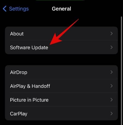 如何在 iOS beta 更新中使用不同的 Apple ID？