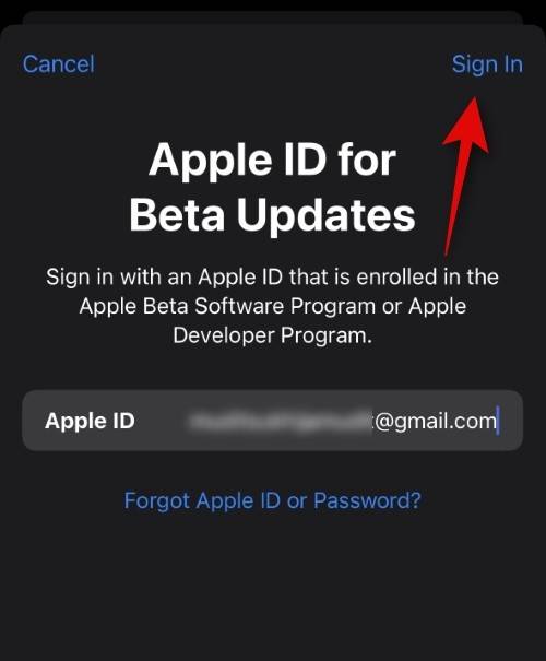 如何在 iOS beta 更新中使用不同的 Apple ID？