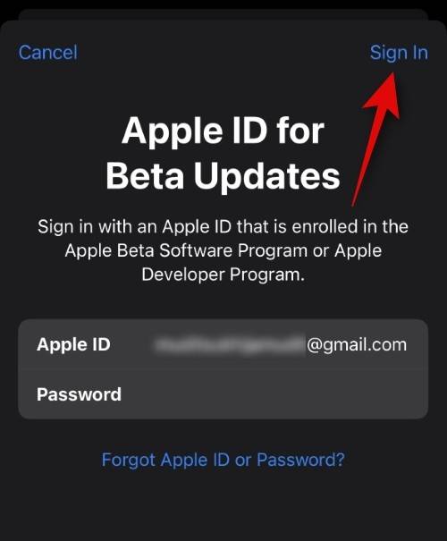 如何在 iOS beta 更新中使用不同的 Apple ID？