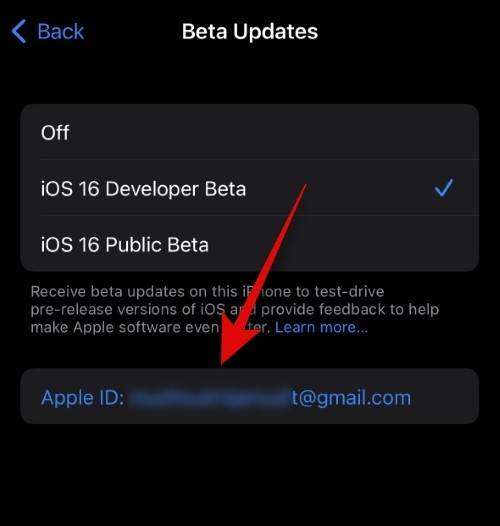 如何在 iOS beta 更新中使用不同的 Apple ID？