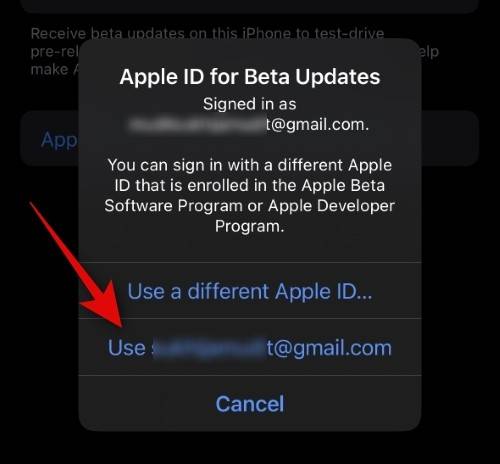 如何在 iOS beta 更新中使用不同的 Apple ID？