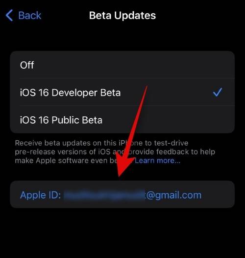 如何在 iOS beta 更新中使用不同的 Apple ID？