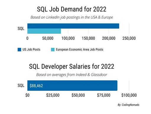 2022年该学习哪些编程语言？Python人气高涨，Ruby薪资优渥