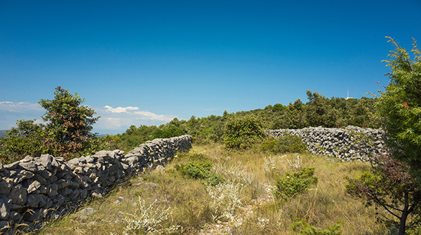 收藏这十个有趣的 Python 高级脚本建议