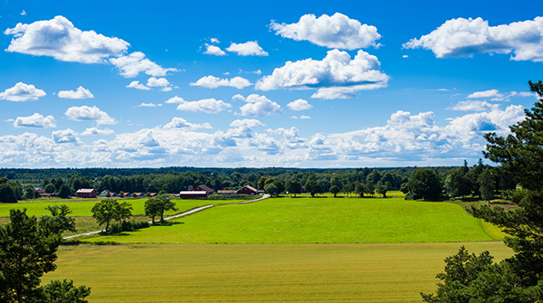 三种Pythonic方案替代for循环