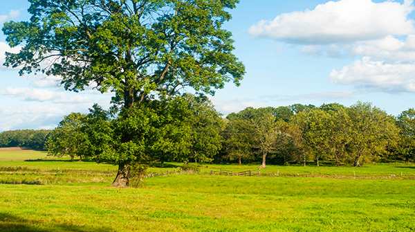 介绍一个Python可视化模块，让你快速入门及呈现令人惊艳的图表