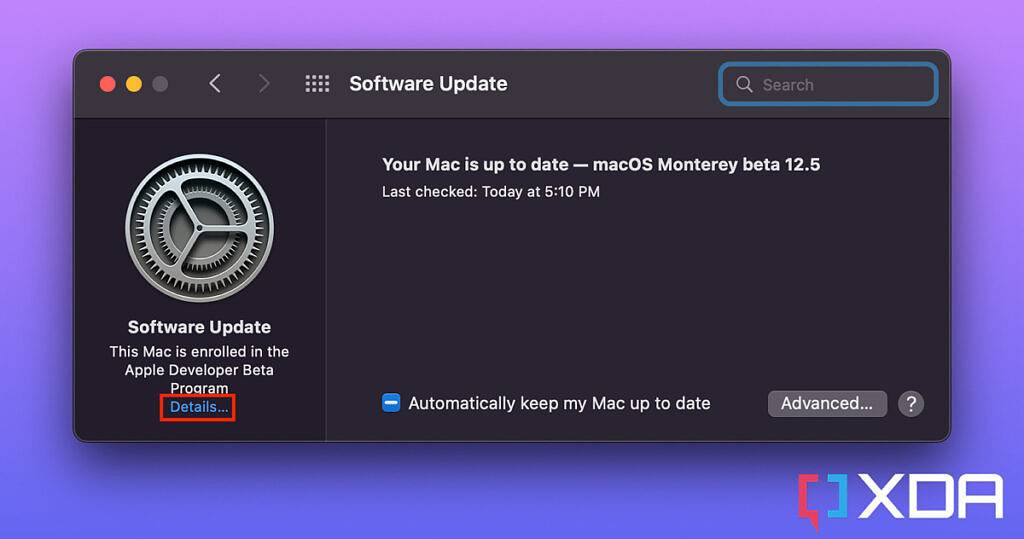 如何在 Mac 上从 macOS 测试版切换到稳定版