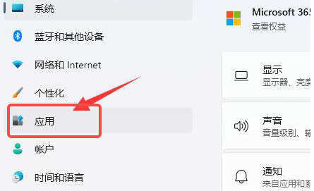 Win11软件权限管理在哪查看