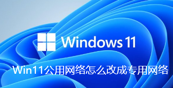 Win11公用网络怎么改成专用网络