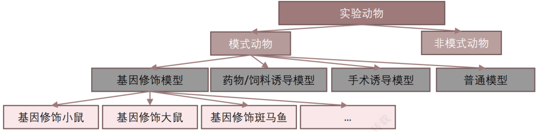 14万一只猴！脑机接口要用猴，实验动物香吗？