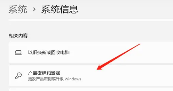 Windows 11 家庭版转换为专业版