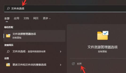 win11隐藏文件打开教程