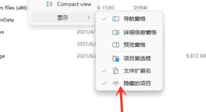 win11隐藏文件打开教程