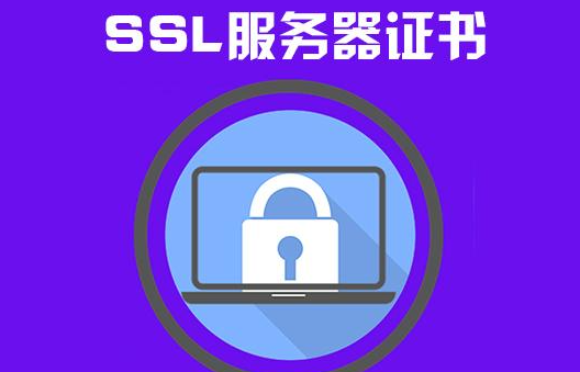 常用的ssl不被win11客户端和服务器支持