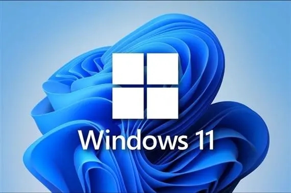 win11下载安卓app子系统出现错误的解决方法