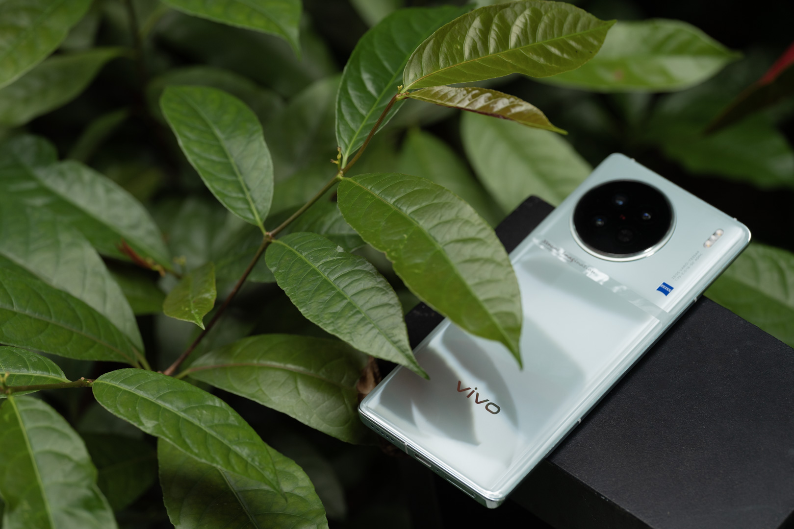 vivo X90s「青漾」图赏:真被这色彩凉爽到了