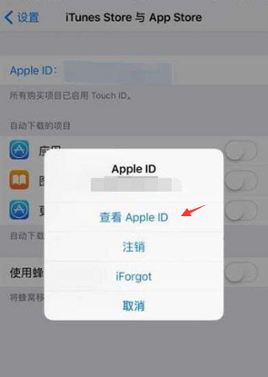 苹果iPhone 13取消订阅服务的方法分享！