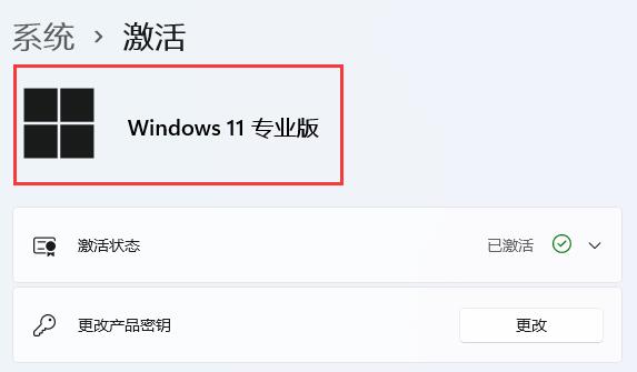 win11安装时无法选择专业版