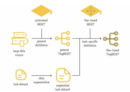 图解tinyBERT模型——BERT模型压缩精华