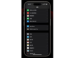 提高iPhone安全性的iOS 17功能：自动清理验证码信息