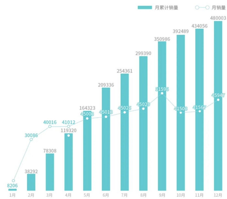 新能源车企扎堆放榜，谁能完成年初立下的FLAG？