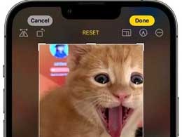 iOS 17 “照片”应用操作逻辑和使用方法更新