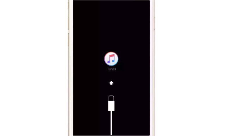2种简单解决方法：处理 iPhone 卡在 iTunes 标志的问题