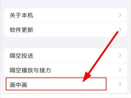 苹果手机如何实现分屏功能？