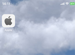如何将 Safari 浏览器中的网页添加到 iPhone 的桌面？