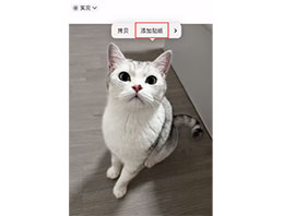 iPhone 技巧：在 iOS 17 上制作和使用个性化贴纸的方法