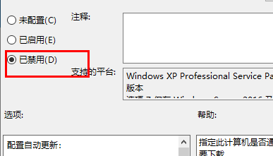 win11关闭自动更新