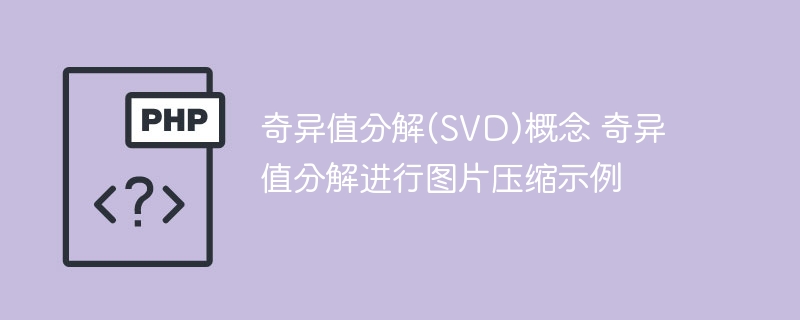 奇异值分解(SVD)概念 奇异值分解进行图片压缩示例