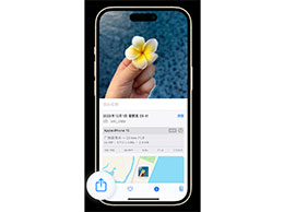 分享 iPhone 上的照片：将照片转换为 JPG 格式的方法