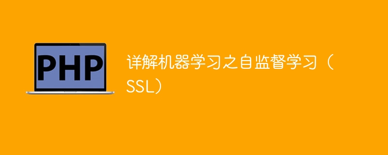 详解机器学习之自监督学习（SSL）