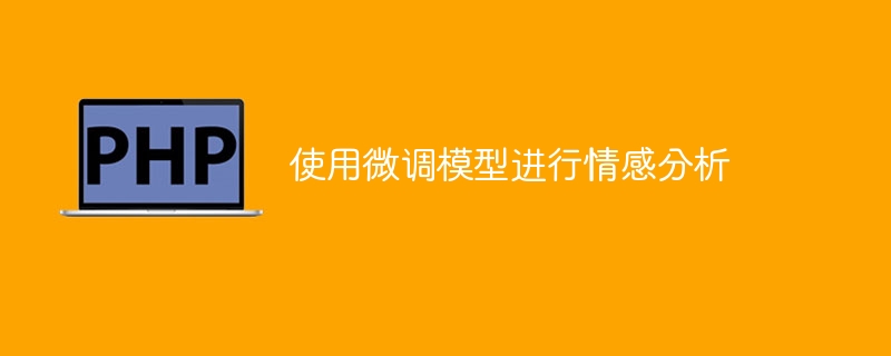 使用微调模型进行情感分析