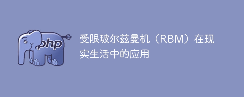 现实生活中应用受限玻尔兹曼机（RBM）的例子