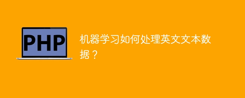 机器学习如何处理英文文本数据？