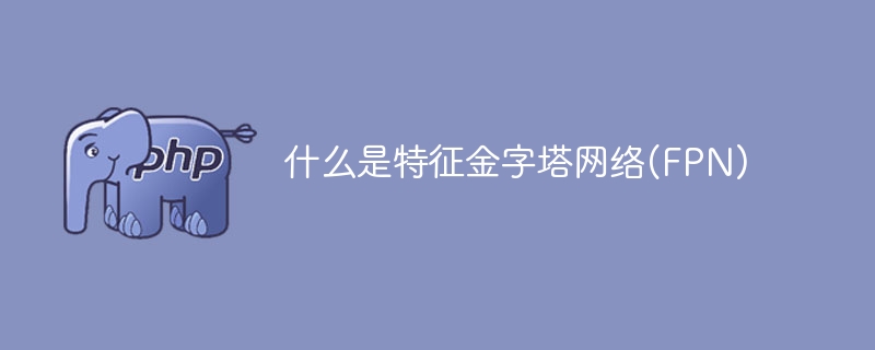 什么是特征金字塔网络(FPN)