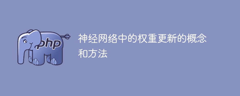 神经网络中的权重更新的概念和方法