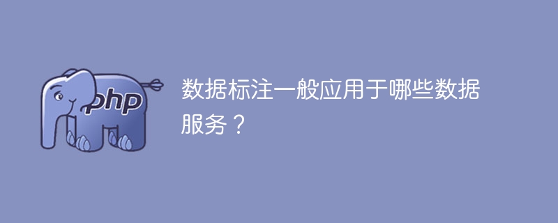 常见的数据标注服务有哪些应用领域？