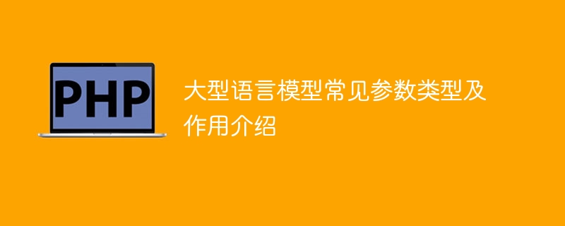 常见的参数类型及其作用介绍：大型语言模型参数解析