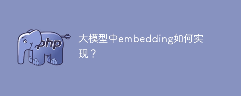 实现大模型中的embedding技术的方法