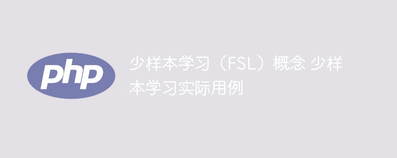 少样本学习（FSL）概念 少样本学习实际用例